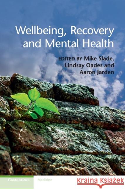 Wellbeing, Recovery and Mental Health Mike Slade Lindsay Oades Aaron Jarden 9781107543058
