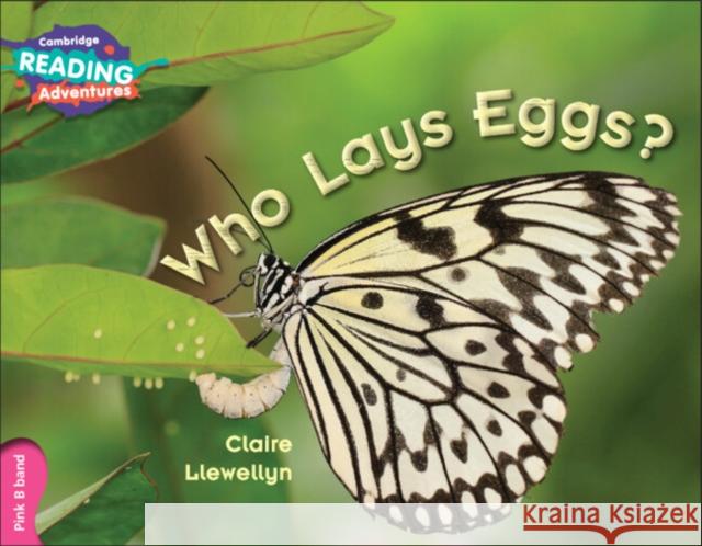 Cambridge Reading Adventures Who Lays Eggs? Pink B Band Clare Llewellyn 9781107549364 Cambridge University Press
