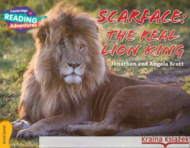 Cambridge Reading Adventures Scarface: The Real Lion King Gold Band Jonathan and Angela Scott 9781107560475