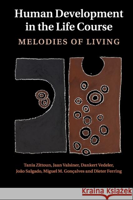 Human Development in the Life Course: Melodies of Living Zittoun, Tania 9781107562387