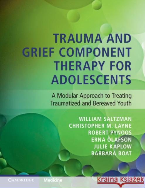 Trauma and Grief Component Therapy for Adolescents: A Modular Approach to Treating Traumatized and Bereaved Youth William Saltzman Christopher Layne Robert Pynoos 9781107579040 Cambridge University Press