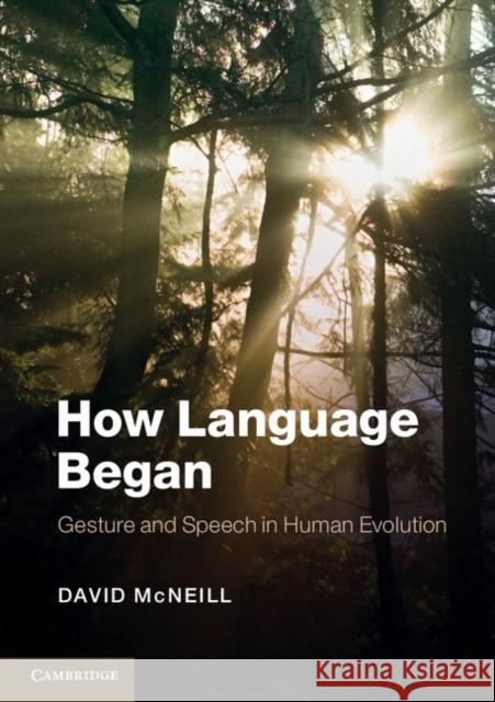 How Language Began: Gesture and Speech in Human Evolution McNeill, David 9781107605497 CAMBRIDGE UNIVERSITY PRESS