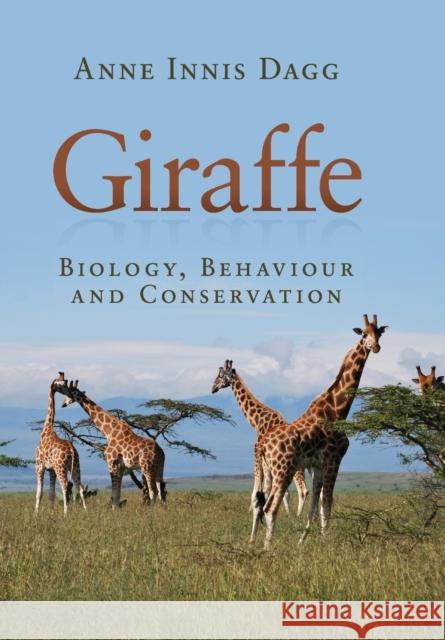 Giraffe: Biology, Behaviour and Conservation Anne Innis Dagg 9781107610170 Cambridge University Press (RJ)