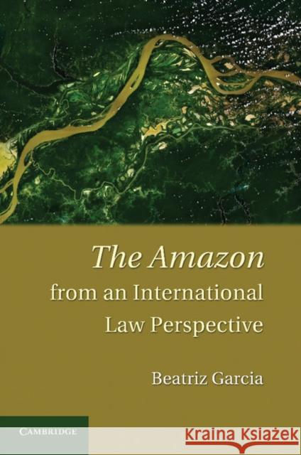 The Amazon from an International Law Perspective Beatriz Garcia 9781107627758