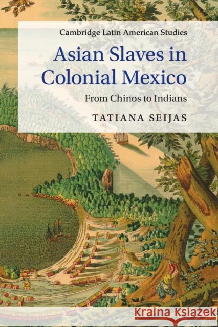 Asian Slaves in Colonial Mexico: From Chinos to Indians Seijas, Tatiana 9781107635777