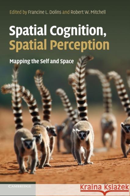 Spatial Cognition, Spatial Perception: Mapping the Self and Space Dolins, Francine L. 9781107646230