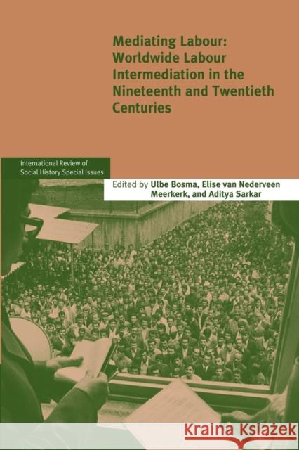 Mediating Labour: Worldwide Labour Intermediation in the Nineteenth and Twentieth Centuries Bosma, Ulbe 9781107647374 Cambridge University Press