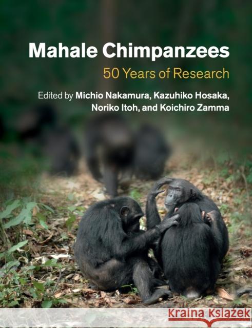 Mahale Chimpanzees: 50 Years of Research Michio Nakamura Kazuhiko Hosaka Noriko Itoh 9781107649644 Cambridge University Press