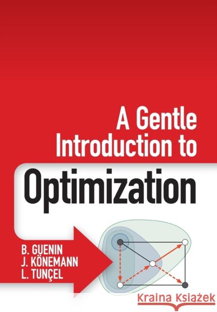A Gentle Introduction to Optimization B Guenin 9781107658790