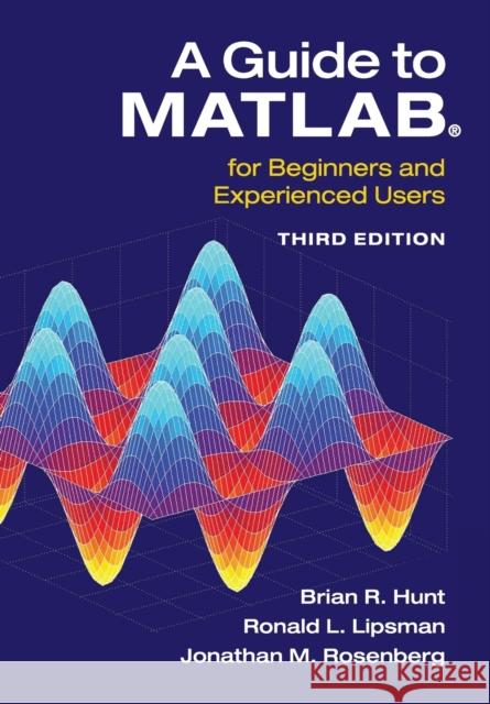 A Guide to Matlab(r): For Beginners and Experienced Users Hunt, Brian R. 9781107662223