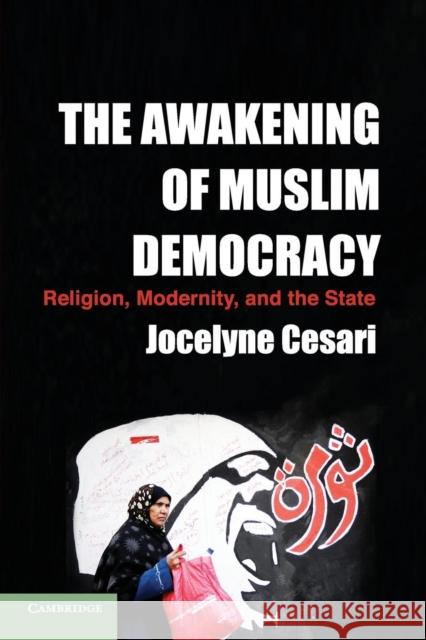 The Awakening of Muslim Democracy: Religion, Modernity, and the State Cesari, Jocelyne 9781107664821 CAMBRIDGE UNIVERSITY PRESS
