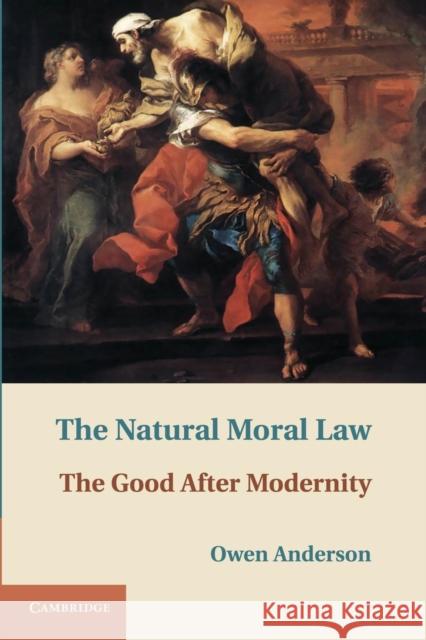 The Natural Moral Law: The Good After Modernity Anderson, Owen 9781107669758 Cambridge University Press