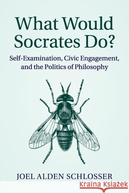 What Would Socrates Do?: Self-Examination, Civic Engagement, and the Politics of Philosophy Schlosser, Joel Alden 9781107672260