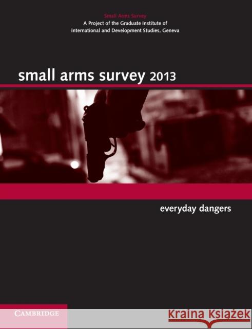 Small Arms Survey 2013: Everyday Dangers Small Arms Survey Geneva 9781107672444