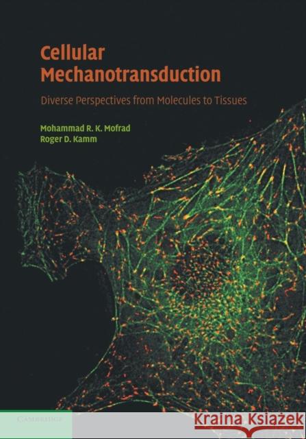 Cellular Mechanotransduction: Diverse Perspectives from Molecules to Tissues Mofrad, Mohammad R. K. 9781107682467 Cambridge University Press