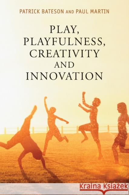 Play, Playfulness, Creativity and Innovation Patrick Bateson 9781107689343 CAMBRIDGE UNIVERSITY PRESS