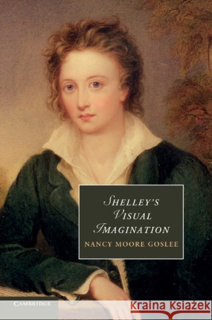 Shelley's Visual Imagination Nancy Moore Goslee 9781107698611