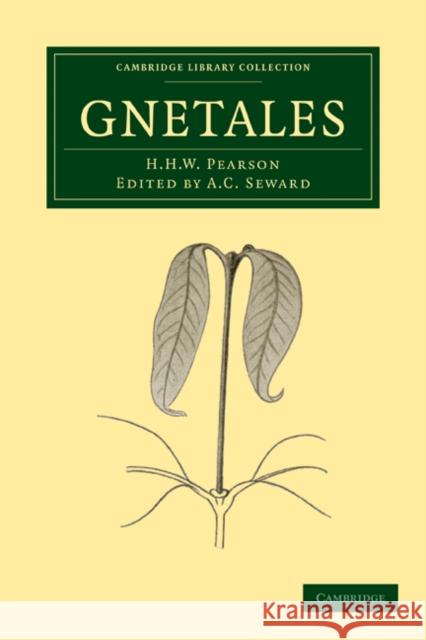 Gnetales H. H. W. Pearson A. C. Seward 9781108013987 Cambridge University Press