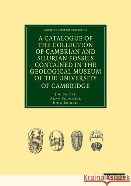 A Catalogue of the Collection of Cambrian and Silurian Fossils Contained in the Geological Museum of the University of Cambridge J. W. Salter Adam Sedgwick John Morris 9781108015943
