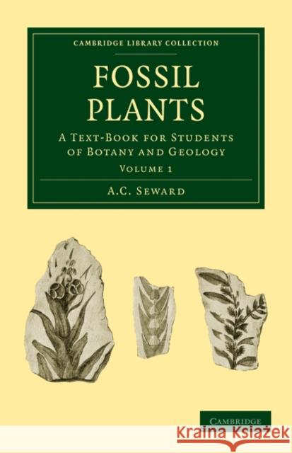 Fossil Plants: A Text-Book for Students of Botany and Geology Seward, A. C. 9781108015950 Cambridge University Press