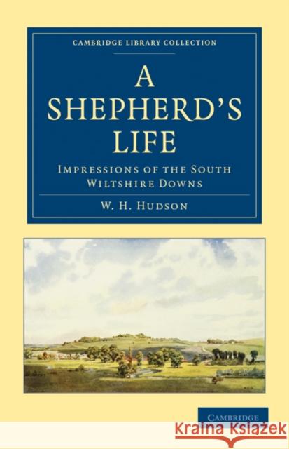 A Shepherd's Life: Impressions of the South Wiltshire Downs Hudson, William Henry 9781108025348 Cambridge University Press