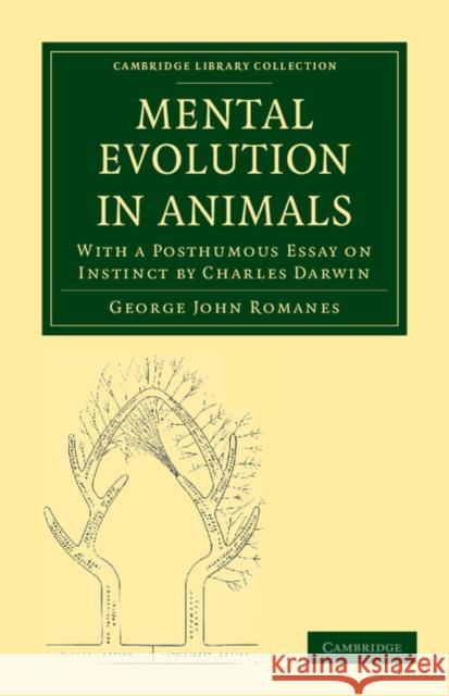 Mental Evolution in Animals: With a Posthumous Essay on Instinct by Charles Darwin Romanes, George John 9781108037877 Cambridge University Press