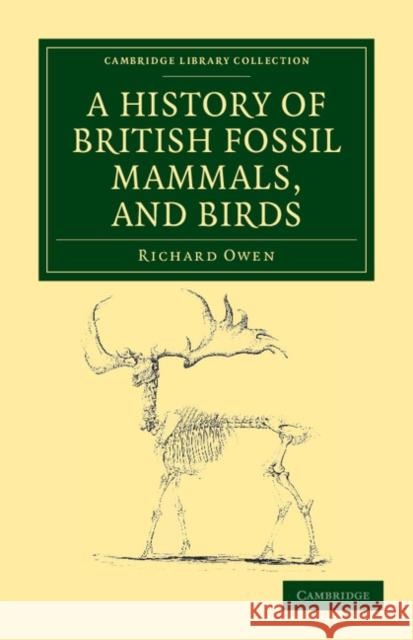 A History of British Fossil Mammals, and Birds Richard Owen 9781108038164 Cambridge University Press