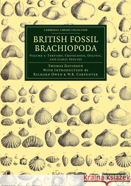 British Fossil Brachiopoda Thomas Davidson Richard Owen William Benjamin Carpenter 9781108038171 Cambridge University Press