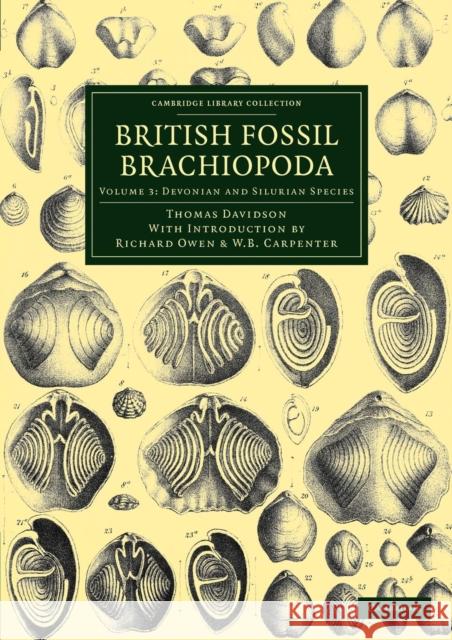 British Fossil Brachiopoda Thomas Davidson Richard Owen William Benjamin Carpenter 9781108038195 Cambridge University Press