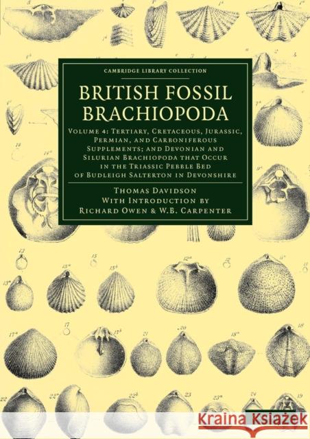 British Fossil Brachiopoda Thomas Davidson Richard Owen William Benjamin Carpenter 9781108038201 Cambridge University Press