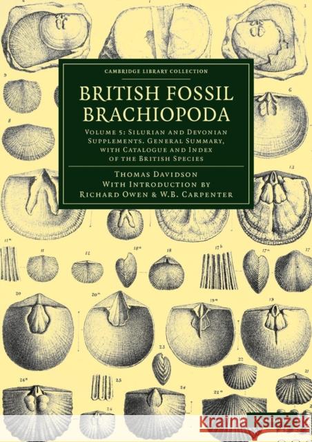 British Fossil Brachiopoda Thomas Davidson Richard Owen William Benjamin Carpenter 9781108038218 Cambridge University Press