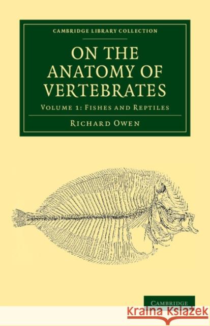 On the Anatomy of Vertebrates Richard Owen 9781108038256