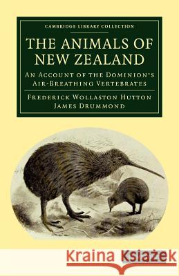 The Animals of New Zealand: An Account of the Dominion's Air-Breathing Vertebrates Frederick Wollaston Hutton, James Drummond 9781108040020 Cambridge University Press