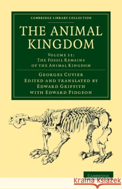 The Animal Kingdom: Arranged in Conformity with Its Organization Cuvier, Georges 9781108049641 Cambridge University Press