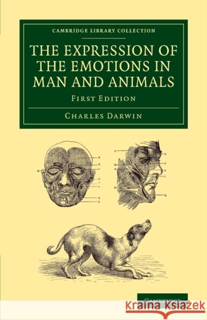 The Expression of the Emotions in Man and Animals Charles Darwin   9781108061834 Cambridge University Press
