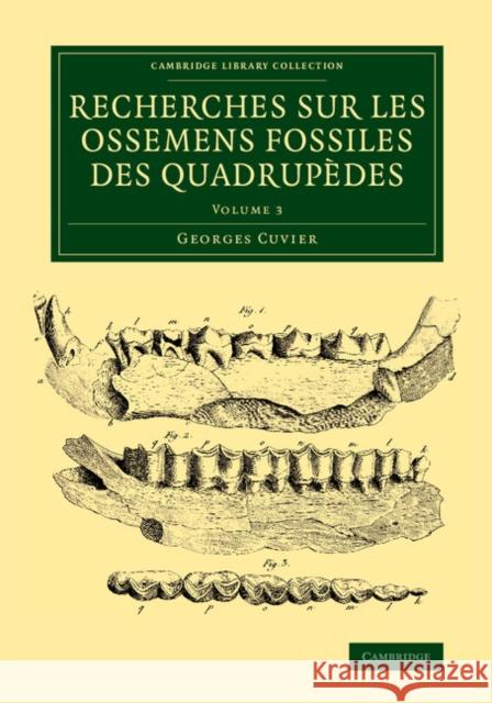 Recherches Sur Les Ossemens Fossiles Des Quadrupèdes Cuvier, Georges 9781108083775 Cambridge University Press