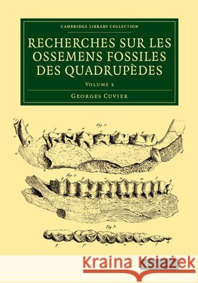 Recherches Sur Les Ossemens Fossiles Des Quadrupèdes Cuvier, Georges 9781108083775