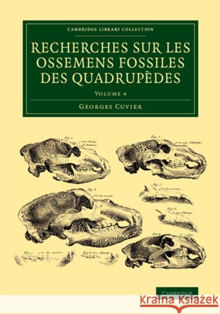 Recherches Sur Les Ossemens Fossiles Des Quadrupèdes Cuvier, Georges 9781108083782
