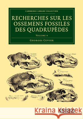 Recherches Sur Les Ossemens Fossiles Des Quadrupèdes Cuvier, Georges 9781108083782
