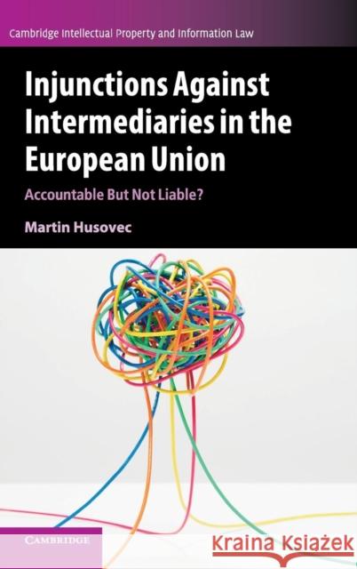 Injunctions Against Intermediaries in the European Union: Accountable But Not Liable? Martin Husovec 9781108415064 Cambridge University Press