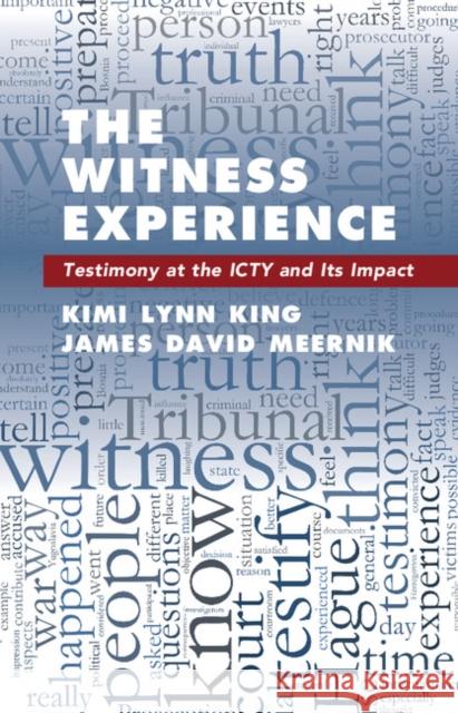 The Witness Experience: Testimony at the Icty and Its Impact Kimi Lynn King James David Meernik 9781108416214 Cambridge University Press