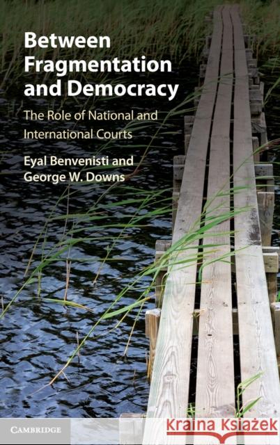 Between Fragmentation and Democracy: The Role of National and International Courts Eyal Benvenisti George W. Downs 9781108416870