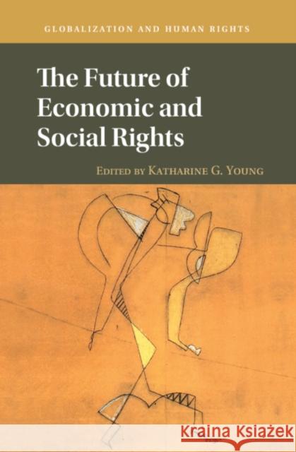 The Future of Economic and Social Rights Katharine G. Young 9781108418133 Cambridge University Press