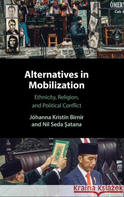 Alternatives in Mobilization: Ethnicity, Religion, and Political Conflict Birnir, Jóhanna Kristín 9781108419840 Cambridge University Press