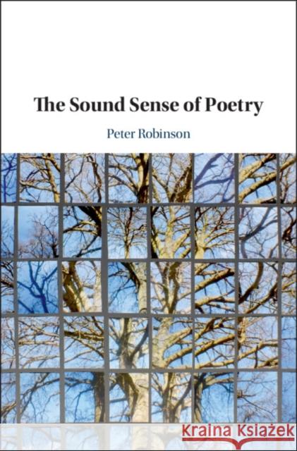 The Sound Sense of Poetry Peter Robinson 9781108422963 Cambridge University Press