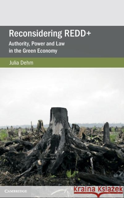 Reconsidering Redd+: Authority, Power and Law in the Green Economy Julia Dehm 9781108423762 Cambridge University Press