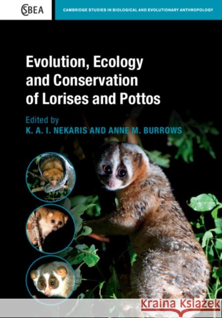 Evolution, Ecology and Conservation of Lorises and Pottos K. A. I. Nekaris Anne M. Burrows 9781108429023 Cambridge University Press
