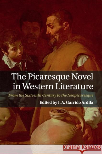 The Picaresque Novel in Western Literature: From the Sixteenth Century to the Neopicaresque Garrido Ardila, J. A. 9781108431873