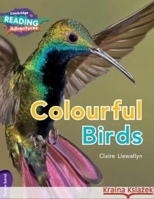 Cambridge Reading Adventures Colourful Birds Purple Band Llewellyn, Claire 9781108435697