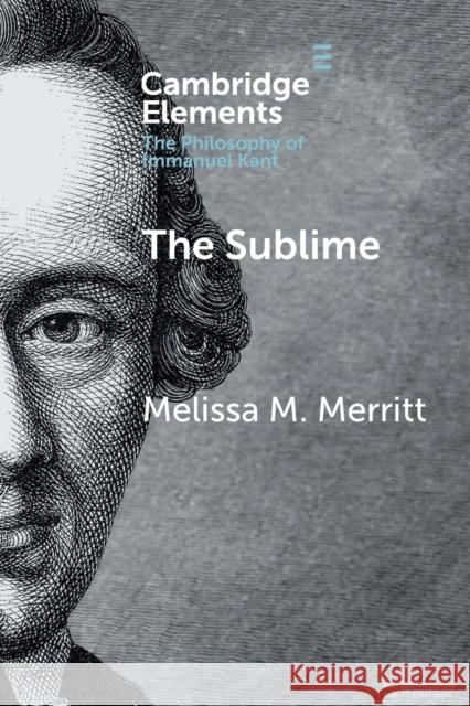 The Sublime Melissa McBay Merritt 9781108438704 Cambridge University Press